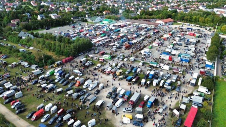 Targi Koni w Pajęcznie z lotu ptaka — stoiska wystawców